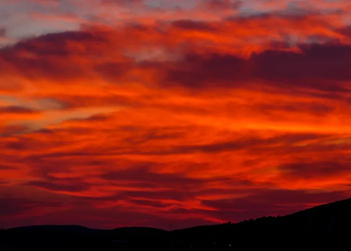 Nora トロギール